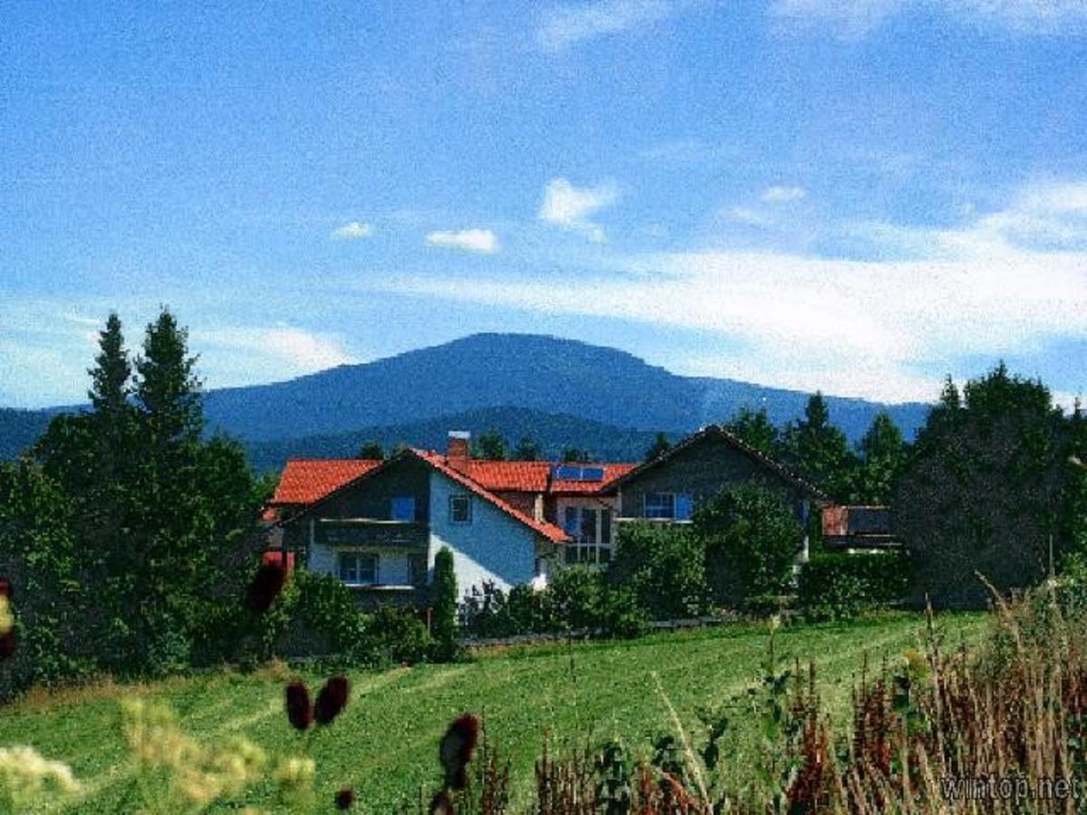 Pension Landhaus Hochfeld Zwiesel Exteriör bild